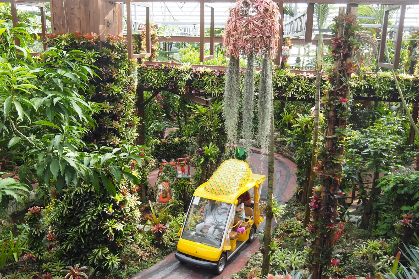A small yellow cart shaped like a pineapple driving through a lush indoor garden of tropical plants; Nago Pineapple Park, not the park